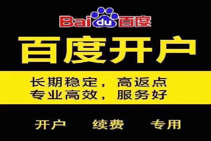揭秘SEM竞价成功案例，助你提升ROI